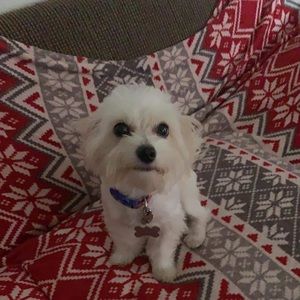 Meet your Posher, Jheojieness